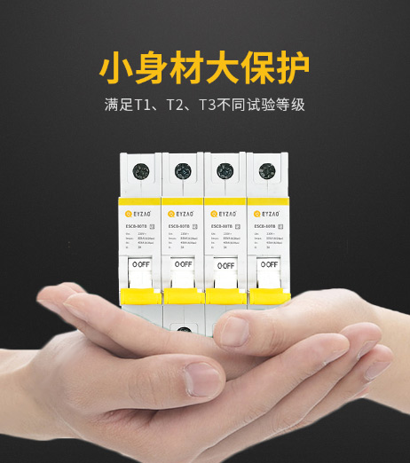T1级后备保护器