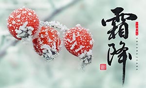 霜降到！这是秋的谢幕,也是冬的问候【易造防雷】