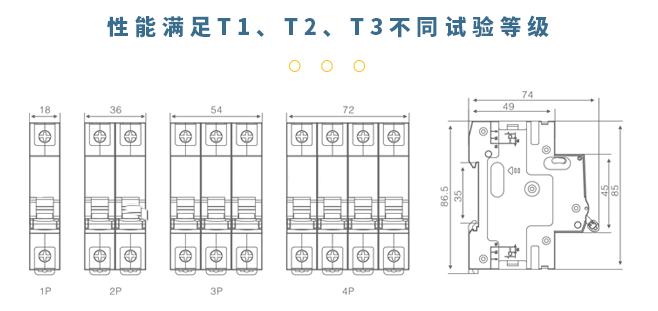 知名后备式保护器-试验等级