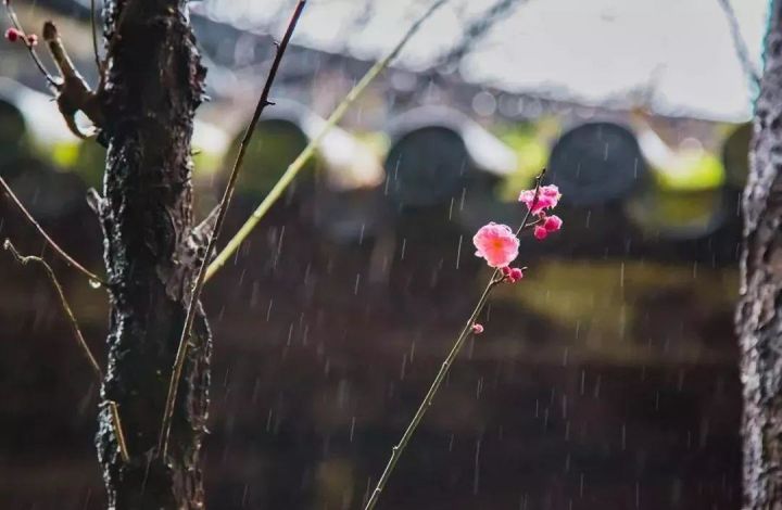 雨水-春雨至,万物生--易造防雷