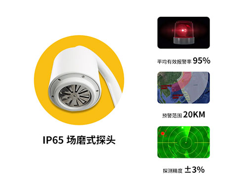 EW 3.0 雷电预警系统组成-IP65探头