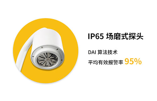 大气电场仪的作用-IP65探头